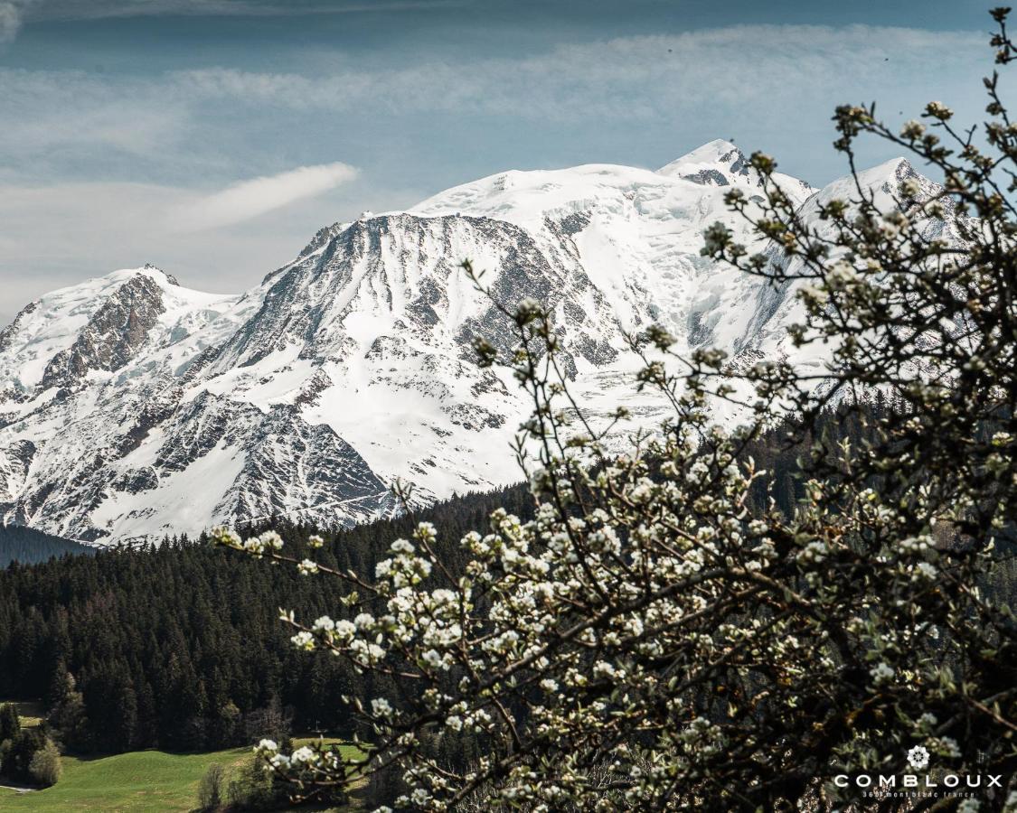 Chalet Alpen Valley, Mont-Blanc Combloux Esterno foto